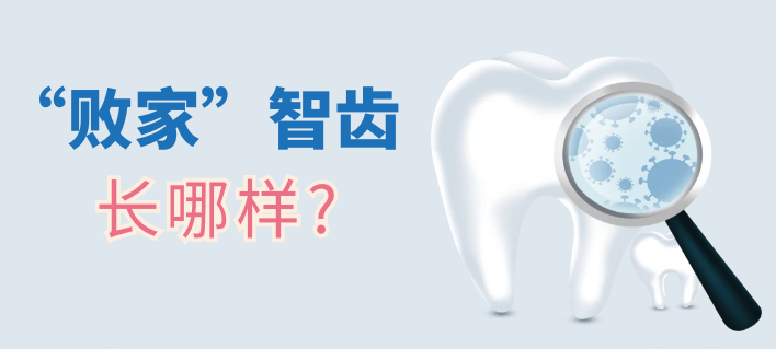 “败家”智齿长哪样？